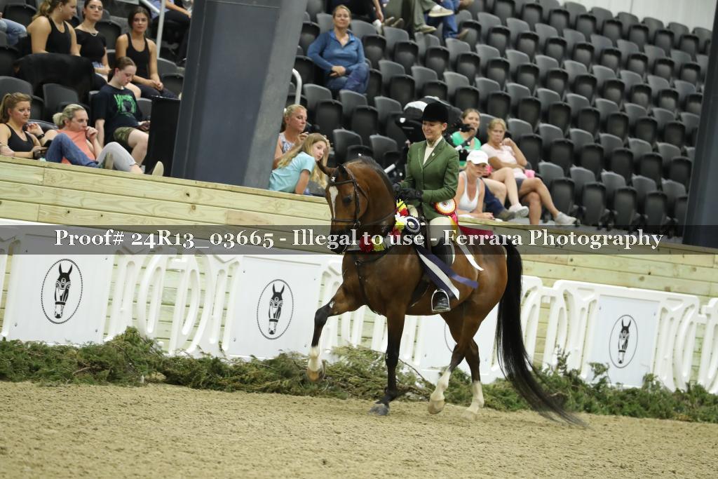 Proof Number 24R13_03665