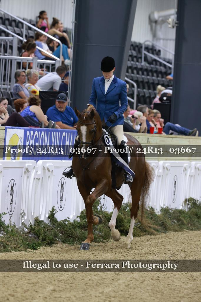 Proof Number 24R13_03667