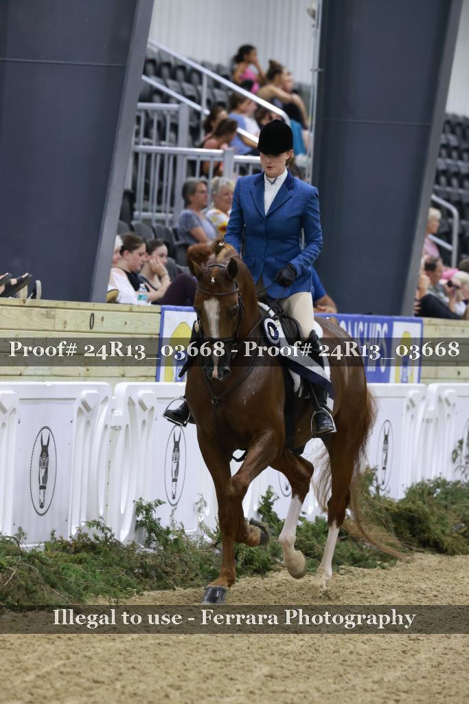 Proof Number 24R13_03668