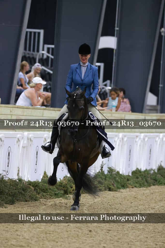 Proof Number 24R13_03670