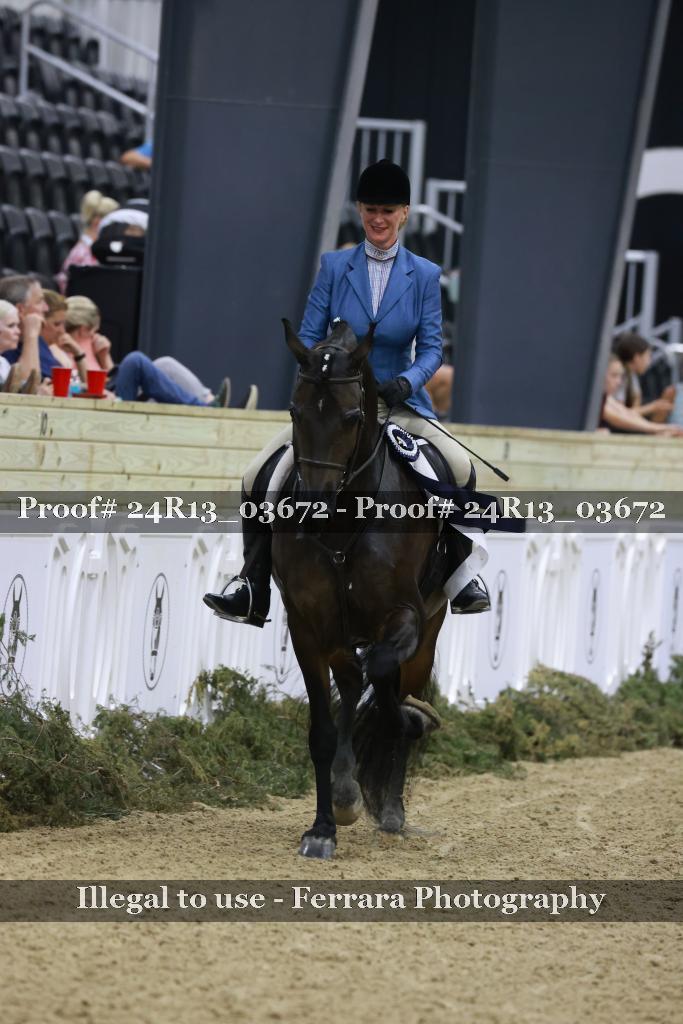 Proof Number 24R13_03672