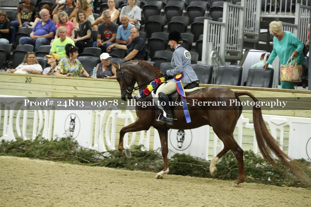 Proof Number 24R13_03678