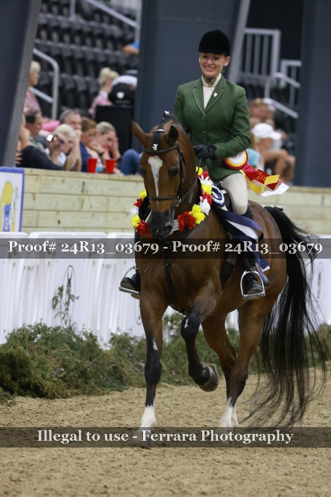 Proof Number 24R13_03679