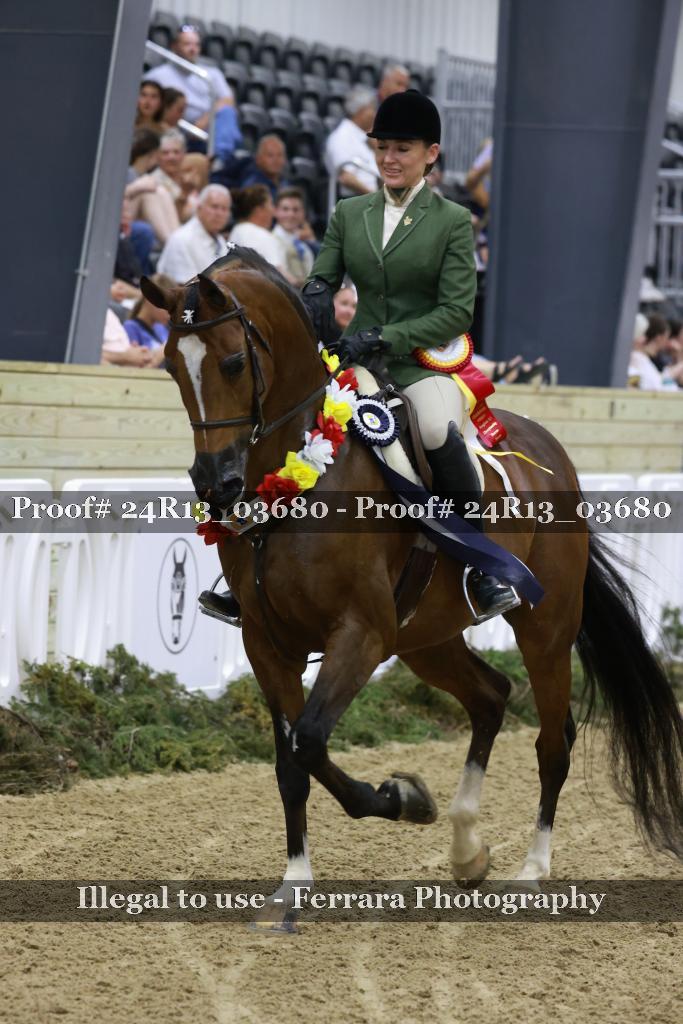 Proof Number 24R13_03680