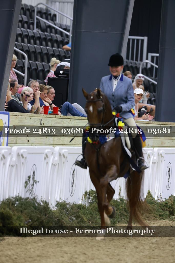 Proof Number 24R13_03681