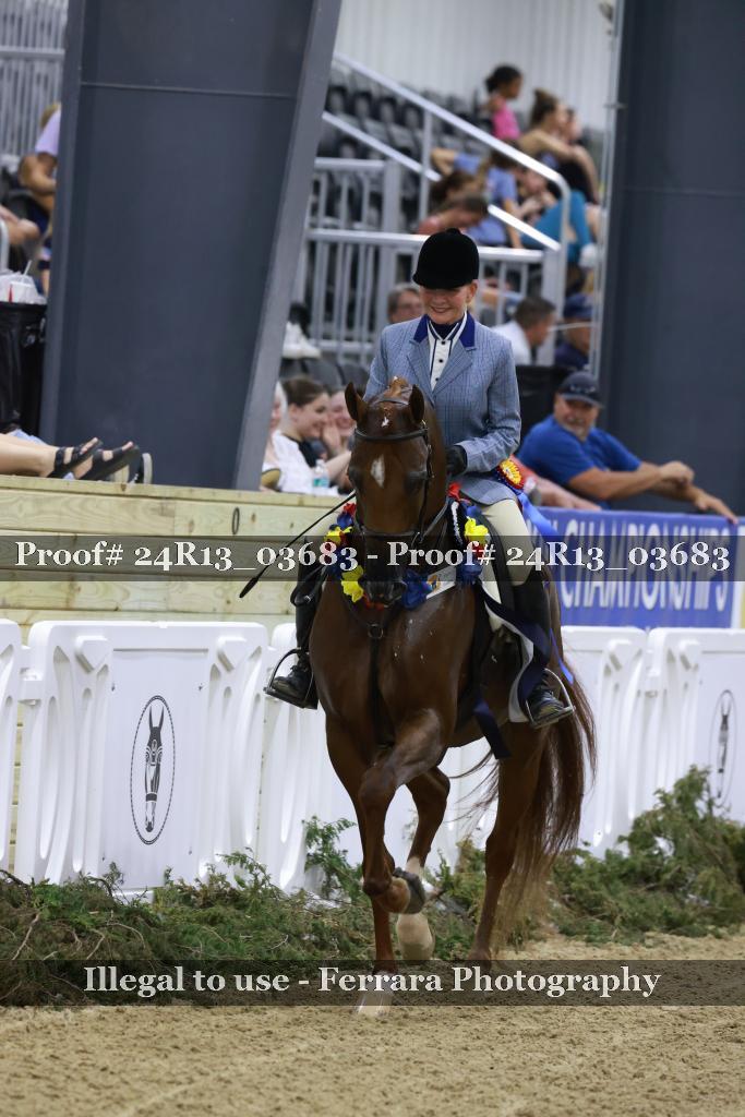 Proof Number 24R13_03683