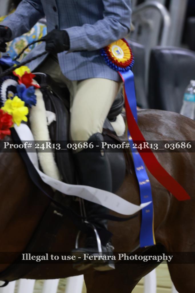 Proof Number 24R13_03686