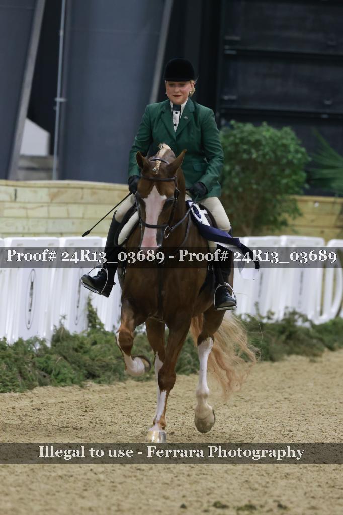 Proof Number 24R13_03689