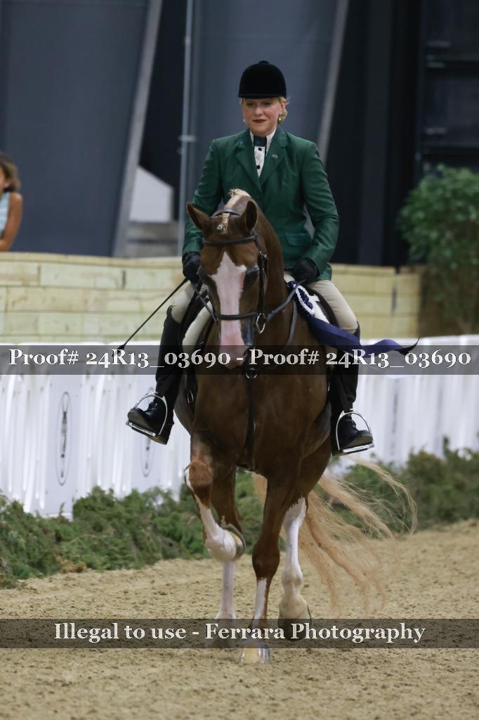 Proof Number 24R13_03690