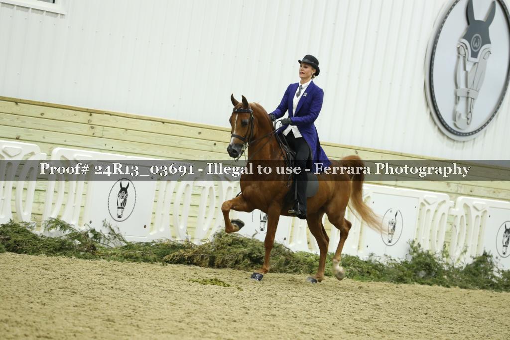 Proof Number 24R13_03691