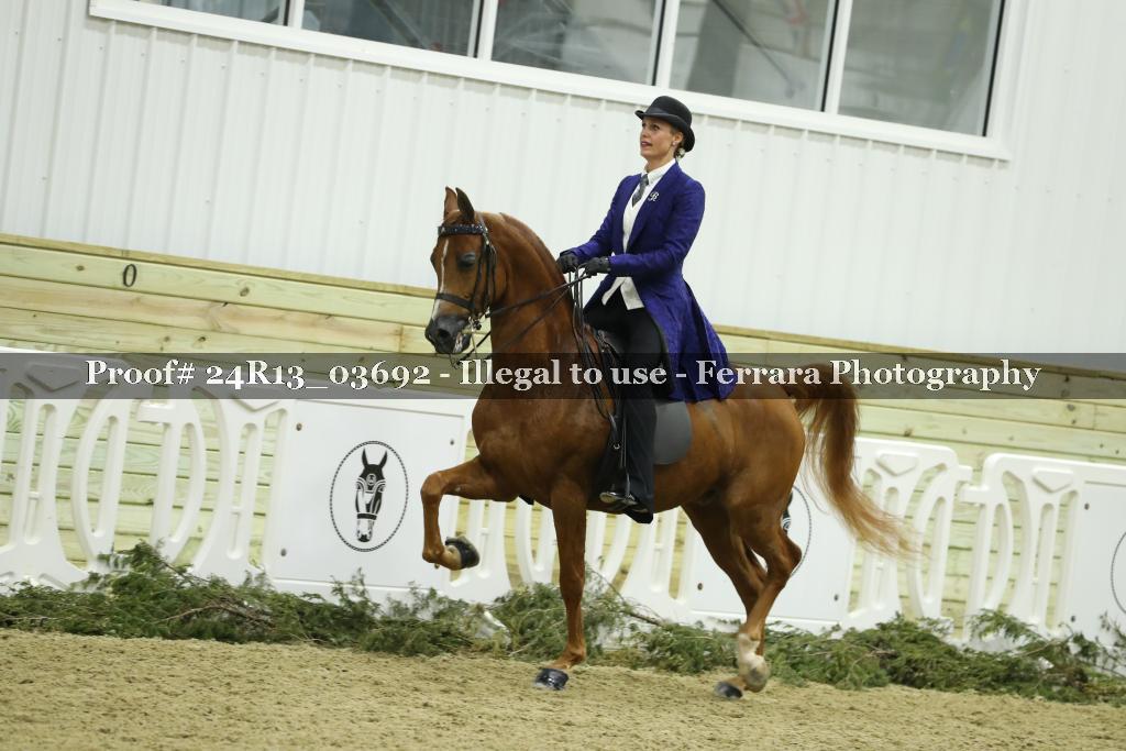 Proof Number 24R13_03692