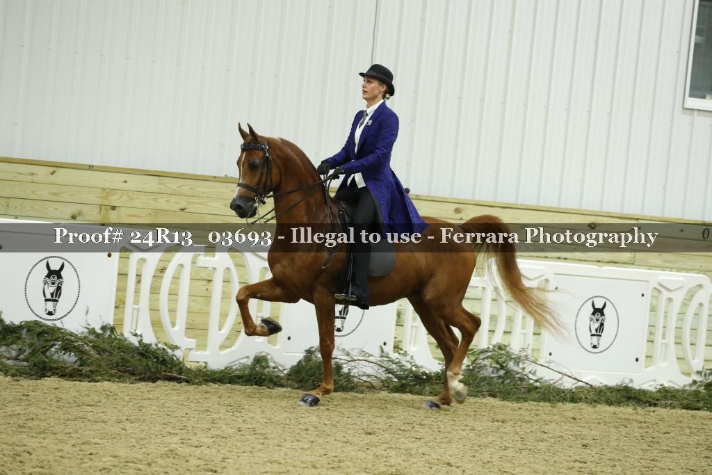Proof Number 24R13_03693