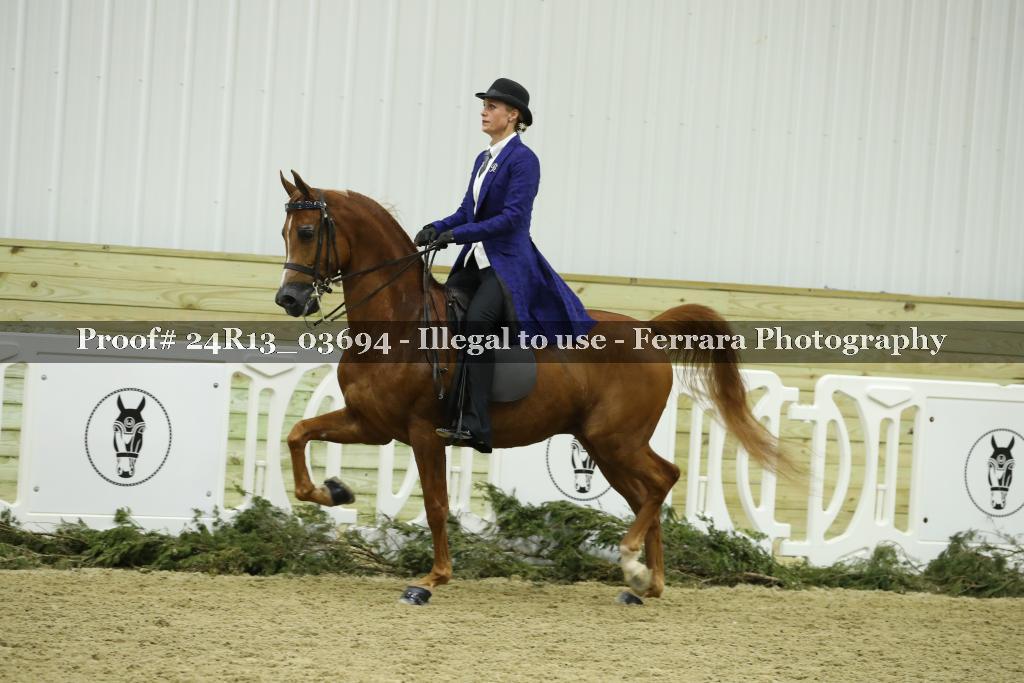 Proof Number 24R13_03694