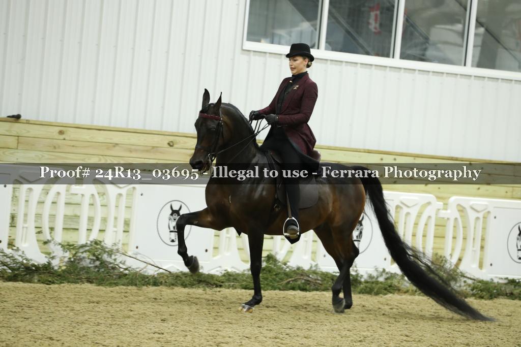 Proof Number 24R13_03695