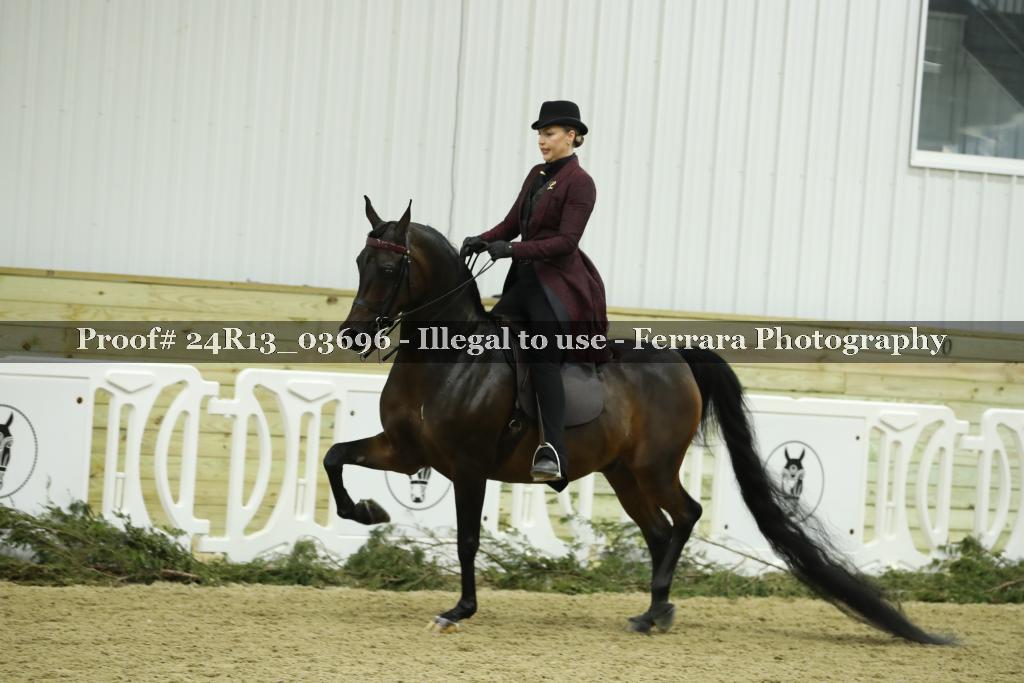 Proof Number 24R13_03696