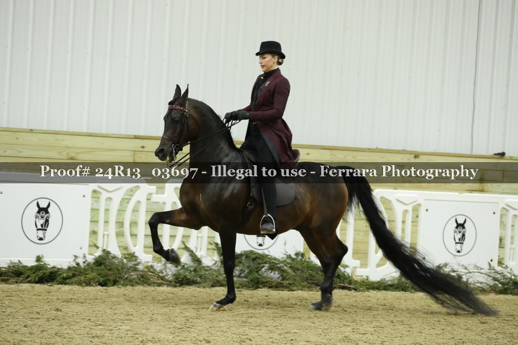 Proof Number 24R13_03697