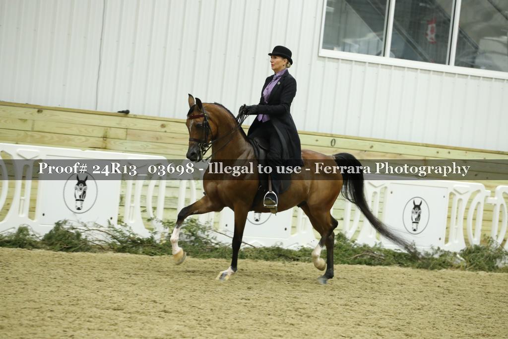 Proof Number 24R13_03698