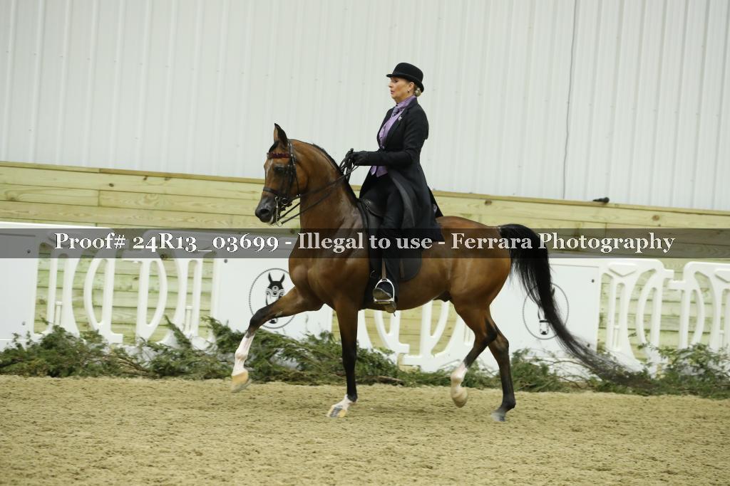 Proof Number 24R13_03699
