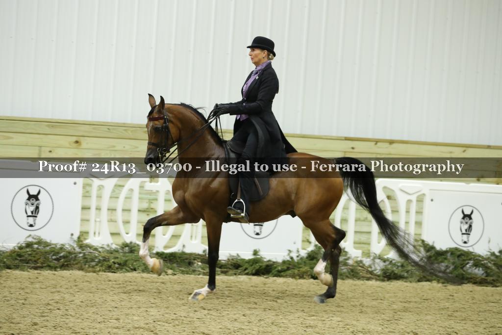 Proof Number 24R13_03700