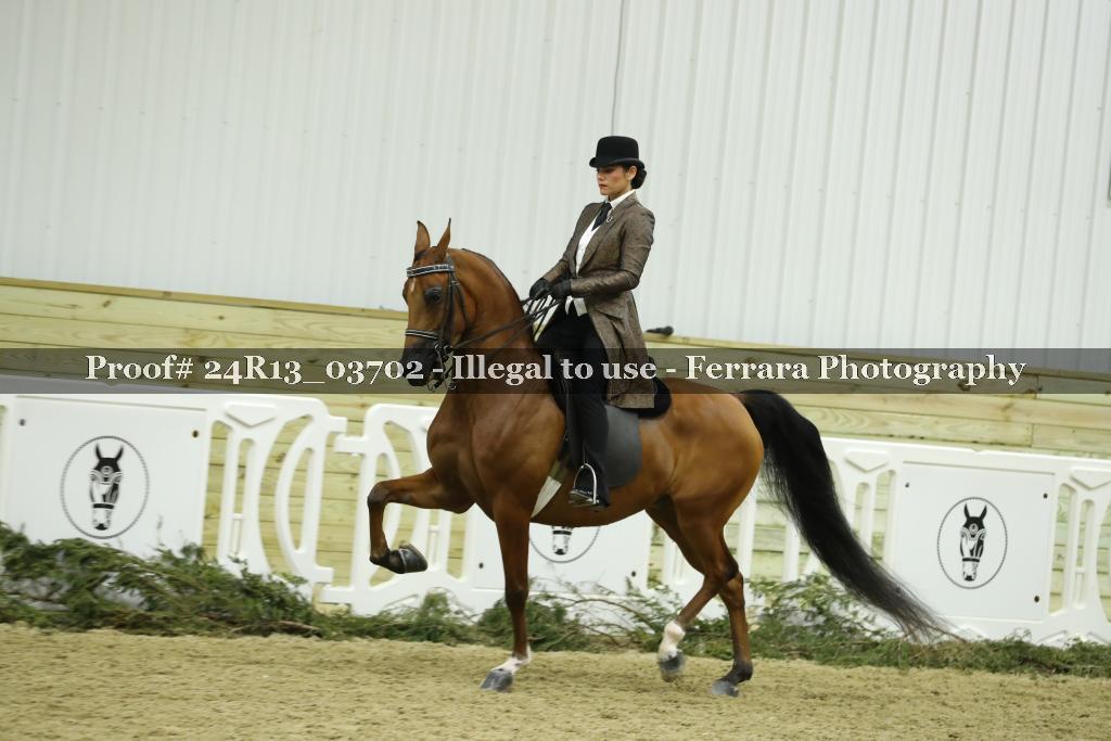 Proof Number 24R13_03702