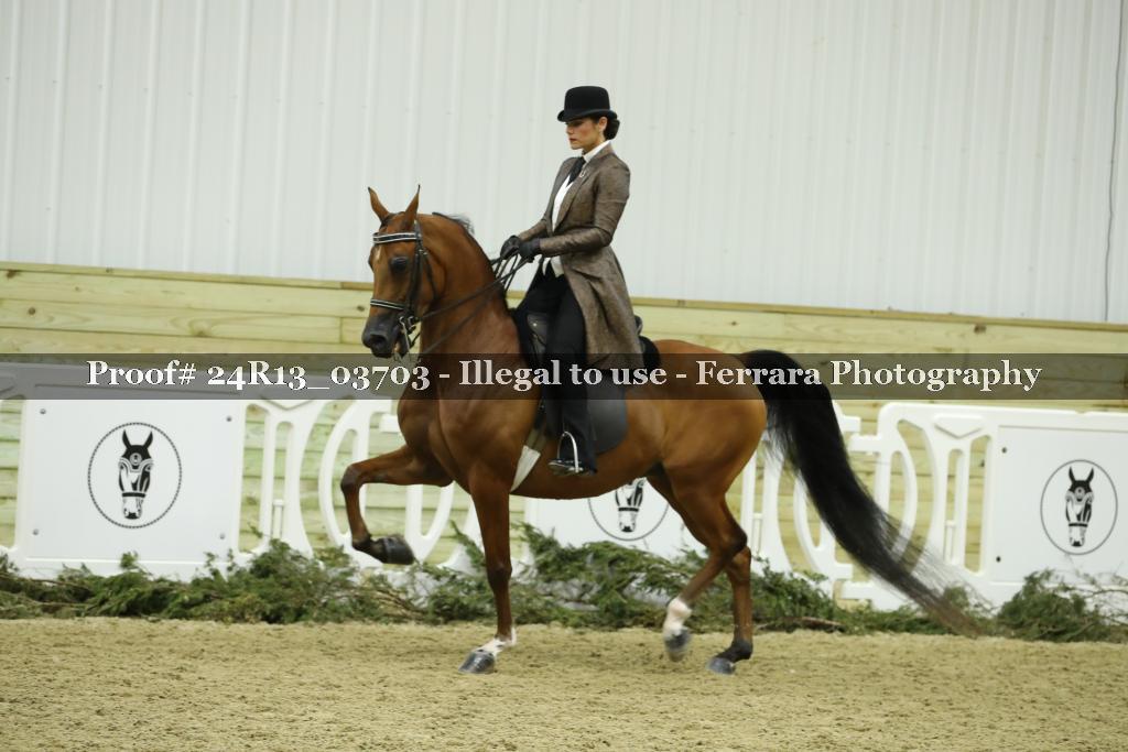 Proof Number 24R13_03703