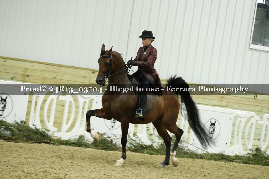 Proof Number 24R13_03704