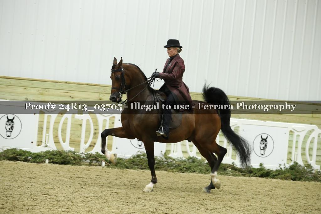 Proof Number 24R13_03705