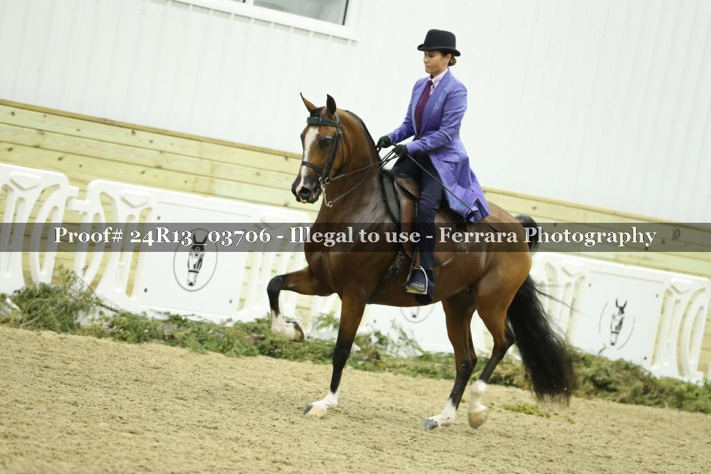 Proof Number 24R13_03706
