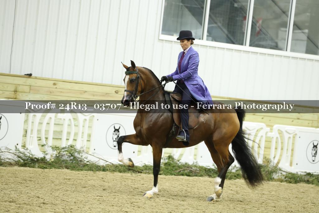 Proof Number 24R13_03707
