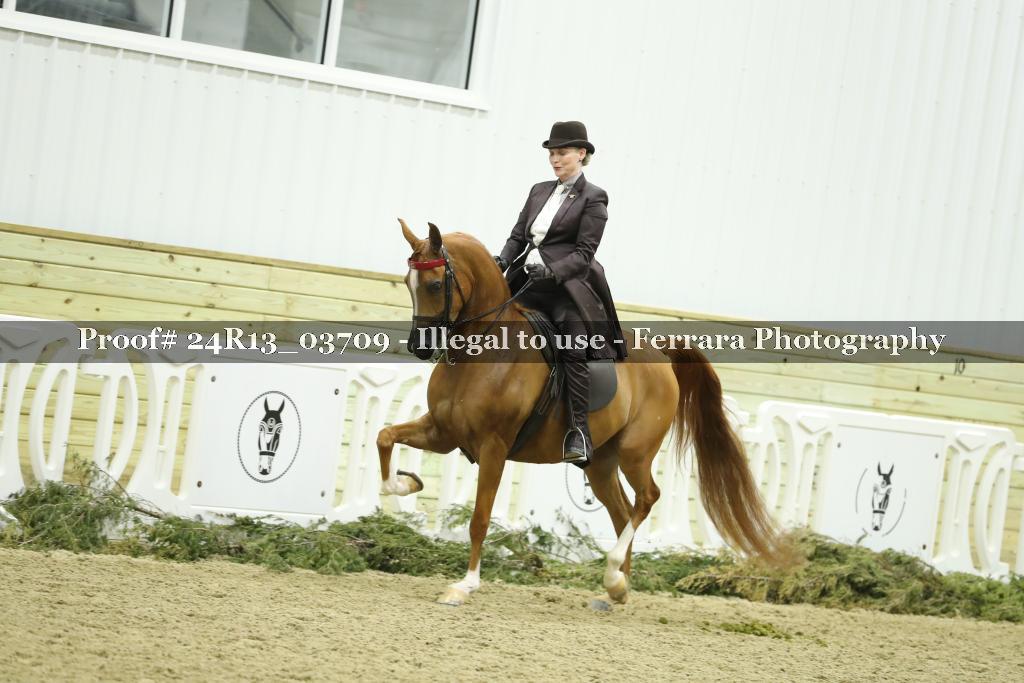 Proof Number 24R13_03709