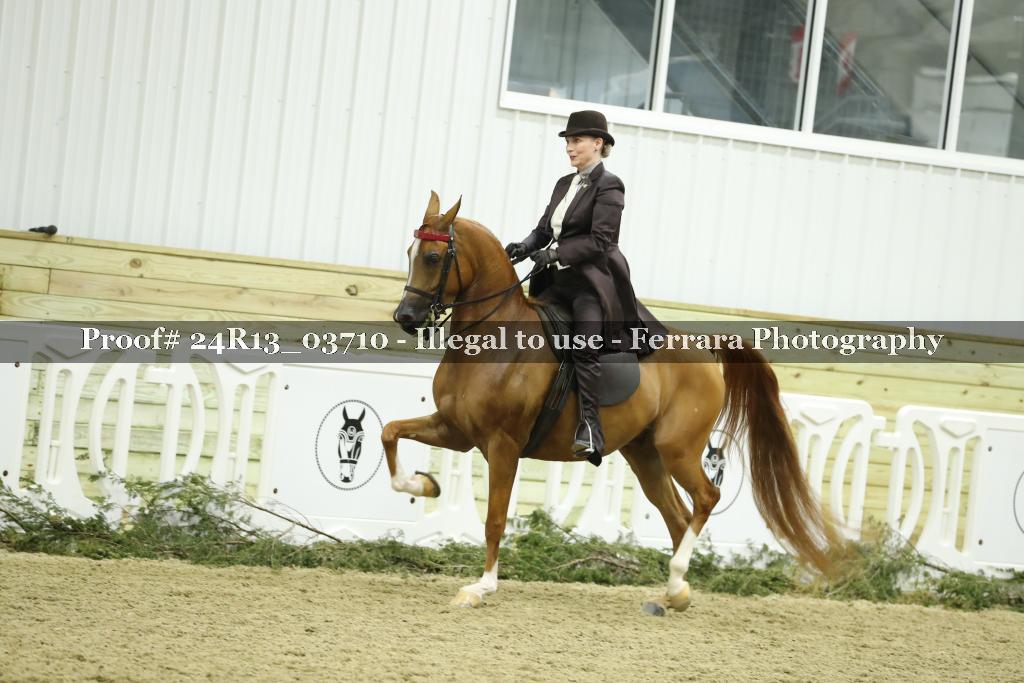 Proof Number 24R13_03710