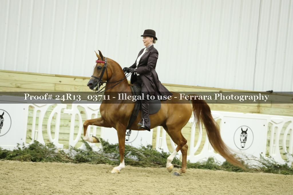 Proof Number 24R13_03711
