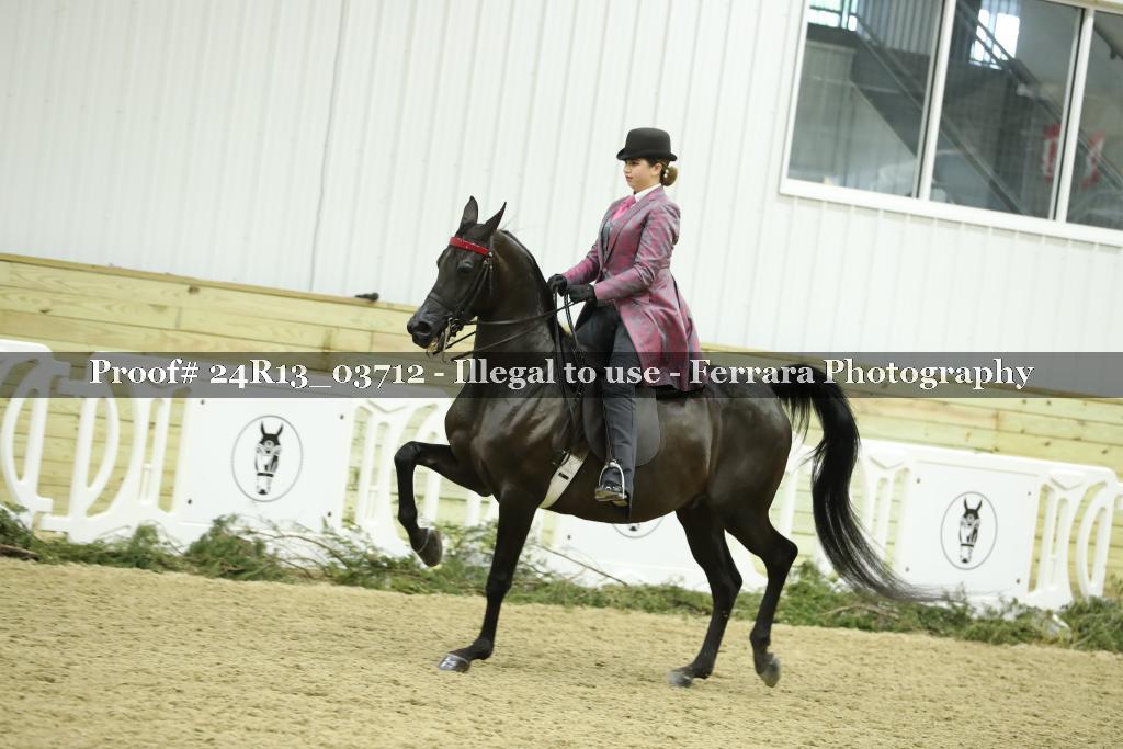 Proof Number 24R13_03712