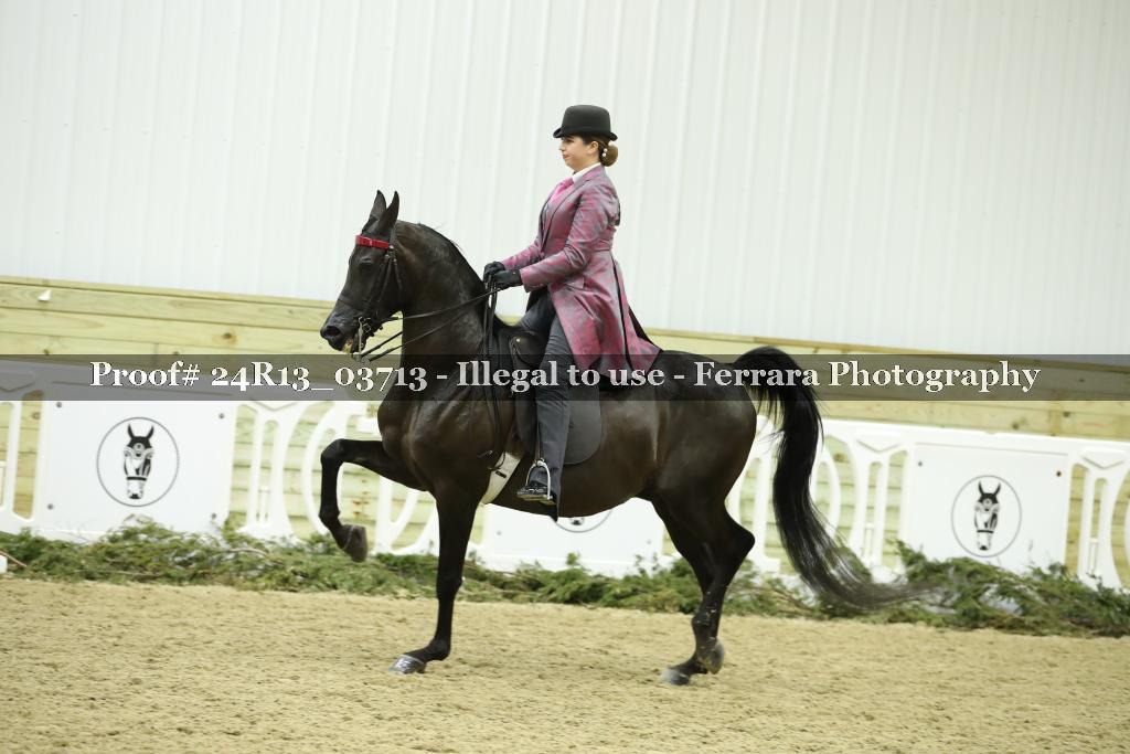 Proof Number 24R13_03713