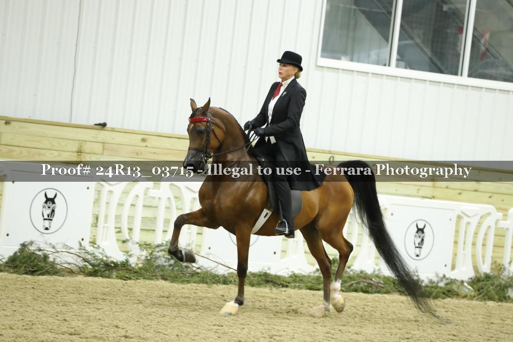 Proof Number 24R13_03715