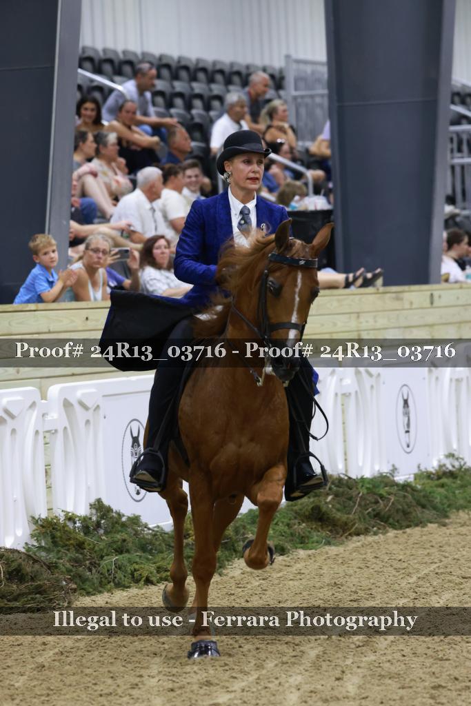 Proof Number 24R13_03716