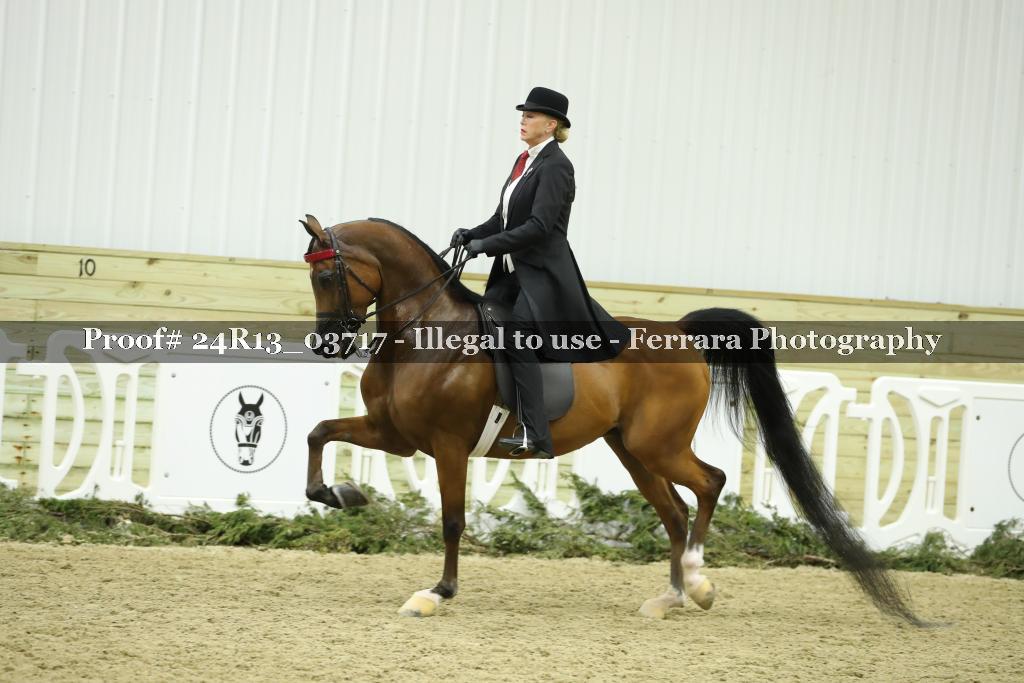 Proof Number 24R13_03717