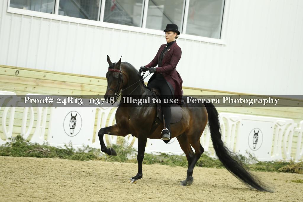 Proof Number 24R13_03718