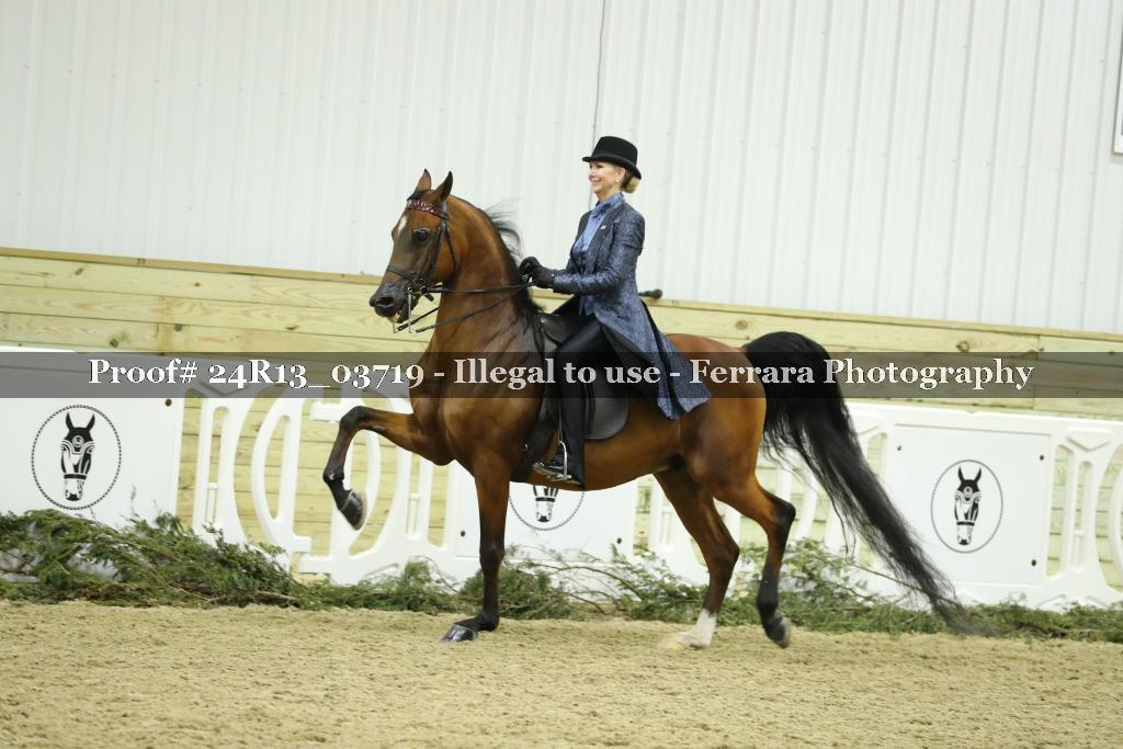 Proof Number 24R13_03719