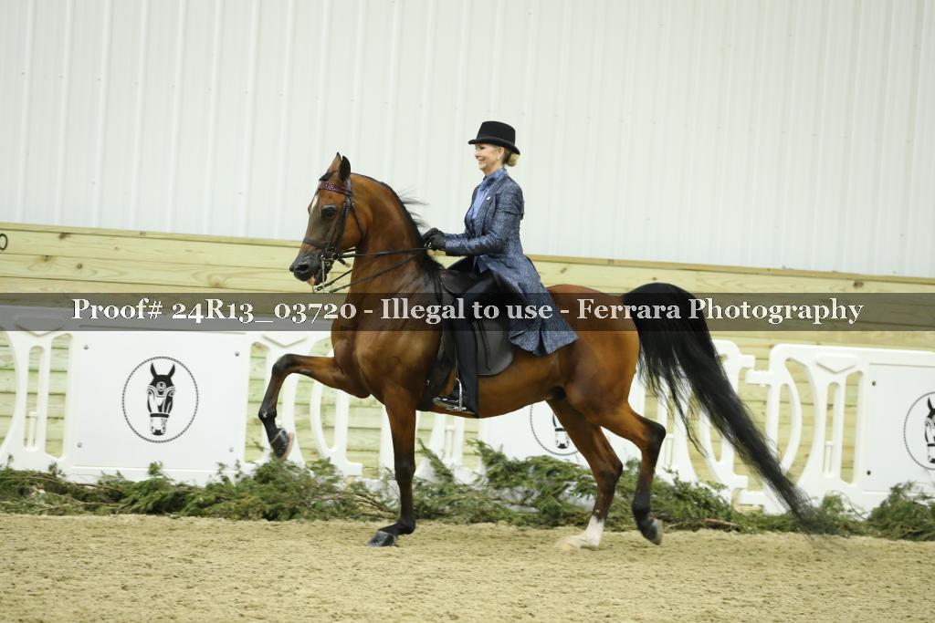 Proof Number 24R13_03720