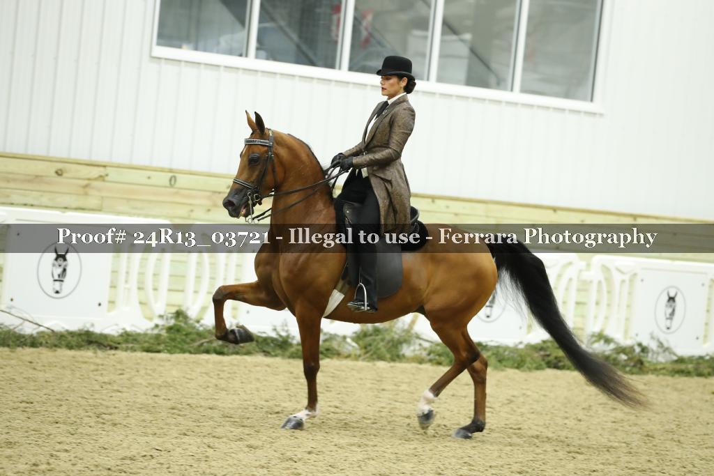 Proof Number 24R13_03721