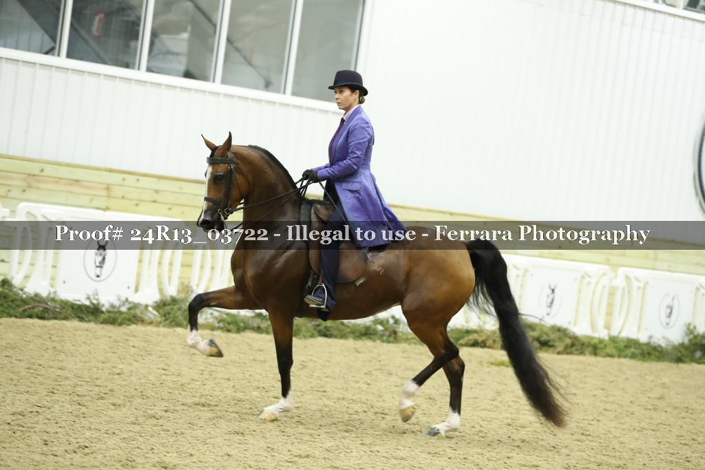 Proof Number 24R13_03722