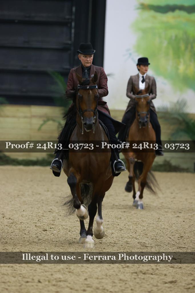 Proof Number 24R13_03723
