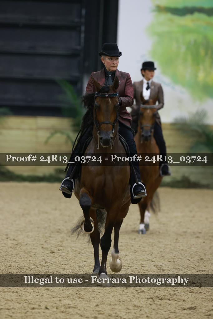 Proof Number 24R13_03724