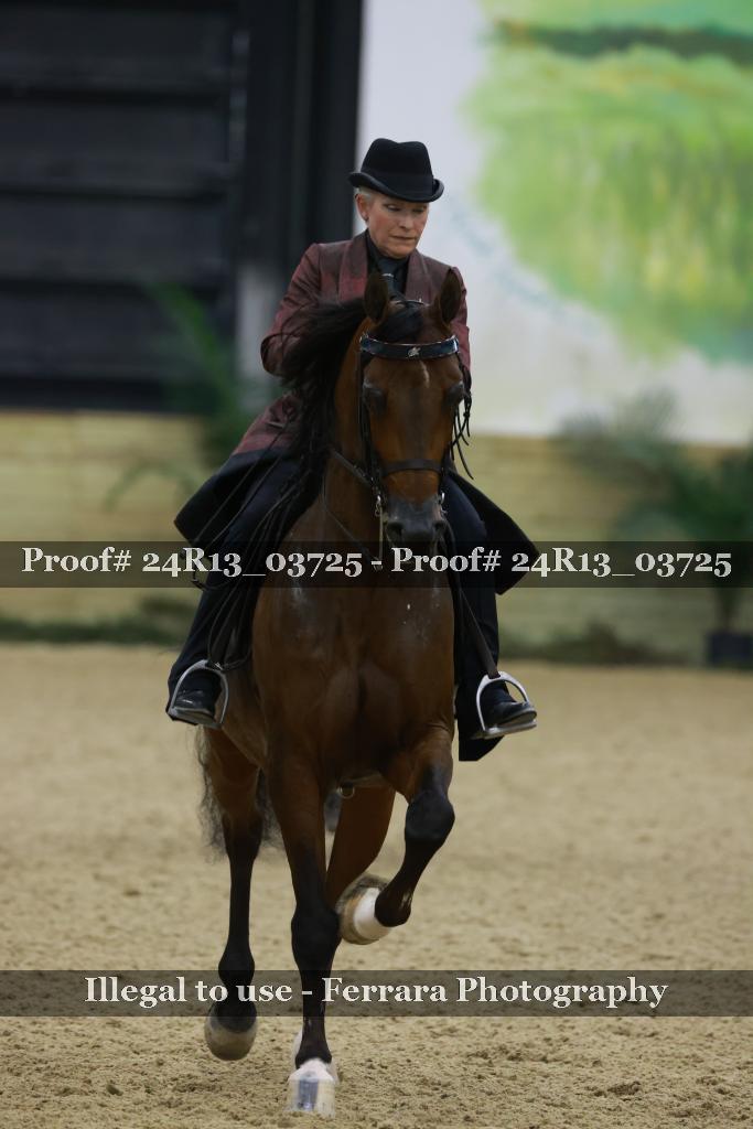 Proof Number 24R13_03725