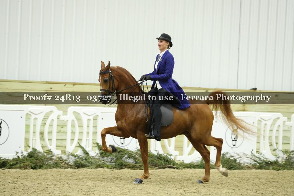 Proof Number 24R13_03727