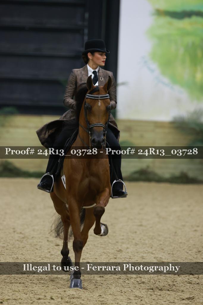 Proof Number 24R13_03728