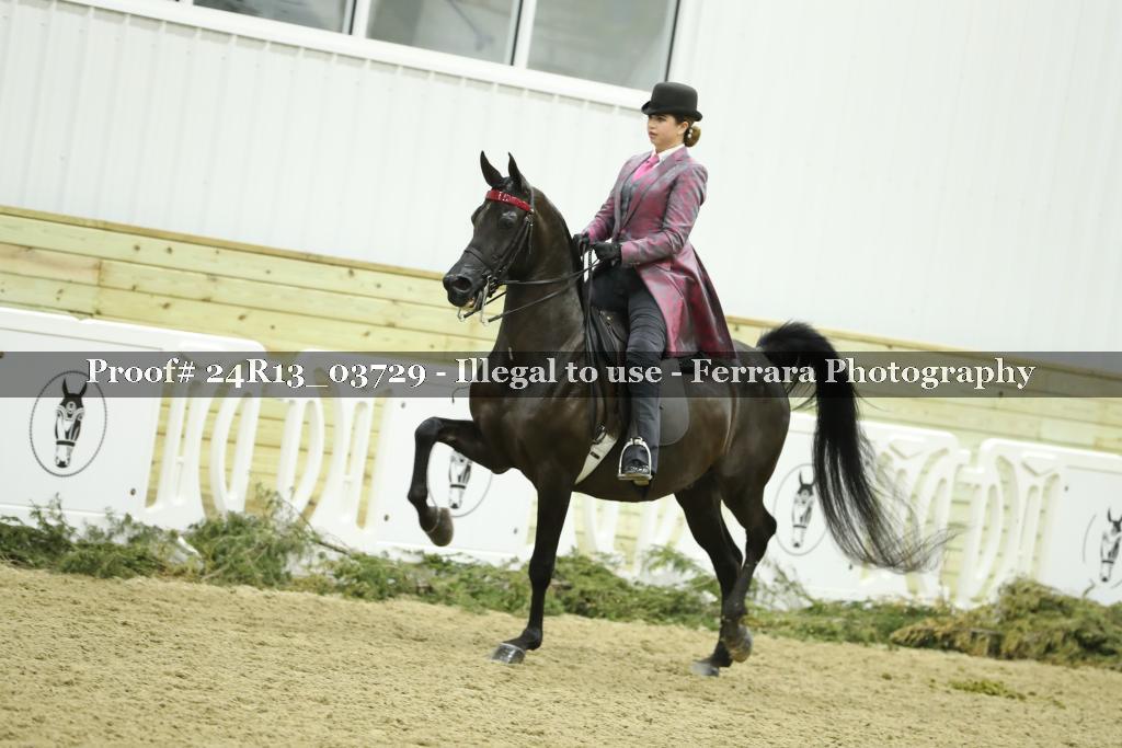 Proof Number 24R13_03729