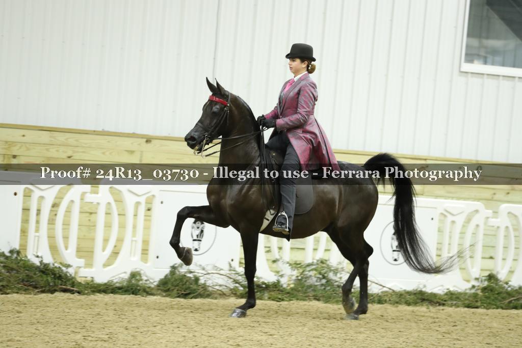 Proof Number 24R13_03730
