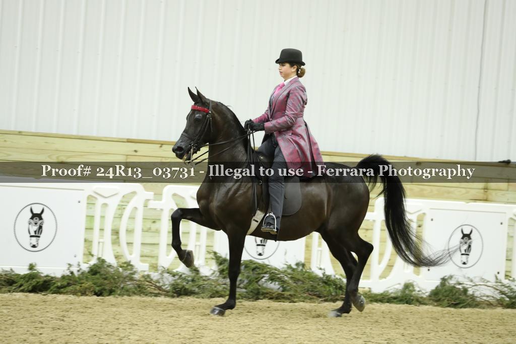 Proof Number 24R13_03731